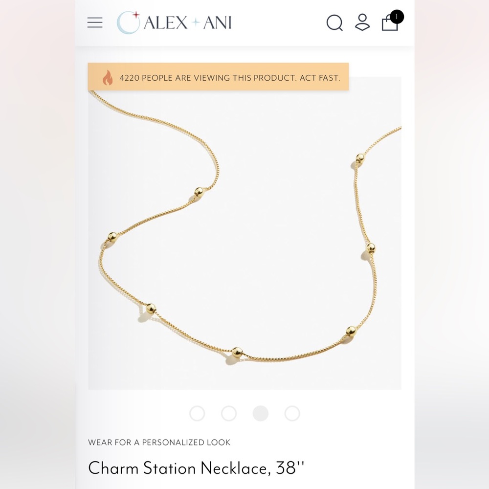 Alex and Ani Charm Station Necklace